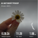  Hochgeladen am 26.07.2025 00:00:00Зиянбаева Анна 
