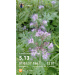 Hochgeladen am 01.08.2026 00:00:00Курицина Надежда 