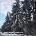  Hochgeladen am 11.01.2024 00:00:00Епишина Карина 