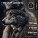  Hochgeladen am 16.01.2024 00:00:00хз хз 