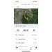  Hochgeladen am 17.01.2024 00:00:00Плотникова Юлия 