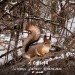  Hochgeladen am 04.02.2024 00:00:00Артемьичева Людмила 
