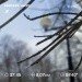  Hochgeladen am 13.02.2024 00:00:00Татарченко Юлия 