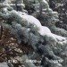  Hochgeladen am 16.02.2024 00:00:00Татарченко Юлия 