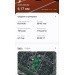  Hochgeladen am 24.02.2024 00:00:00Коновалова Анастасия 
