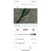  Hochgeladen am 25.02.2024 00:00:00Чурсина Юлия 