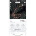  Hochgeladen am 01.03.2024 00:00:00Сафронов Олег 