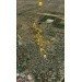  Hochgeladen am 04.03.2024 00:00:00Ханбиев Артур 