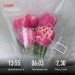  Hochgeladen am 05.03.2024 00:00:00Лукманова Лиана 