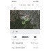  Hochgeladen am 17.03.2024 00:00:00Васильев Валентин 