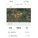  Hochgeladen am 22.03.2024 00:00:00Черноваленко Александр 