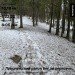  Hochgeladen am 02.04.2024 00:00:00Кривко Сережа 