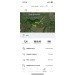  Hochgeladen am 02.04.2024 00:00:00Аношкина Людмила 
