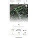  Hochgeladen am 09.04.2024 00:00:00Солнечный Беглец Оксана 