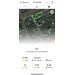  Hochgeladen am 17.04.2024 00:00:00Солнечный Беглец Оксана 
