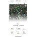  Hochgeladen am 20.04.2024 00:00:00Солнечный Беглец Оксана 