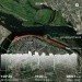  Hochgeladen am 01.05.2024 00:00:00Храмцова Анжелика 