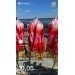  Hochgeladen am 04.05.2024 00:00:00Токовилов Александр 