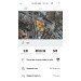  Hochgeladen am 05.05.2024 00:00:00Васильев Валентин 