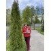  Hochgeladen am 09.05.2024 00:00:00Гусарова Вероника 