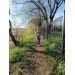  Hochgeladen am 14.05.2024 00:00:00Котова Оксана 