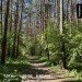  Hochgeladen am 20.05.2024 00:00:00Ахметшина Жанна 