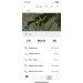  Hochgeladen am 25.05.2024 00:00:00Якутов Валерий 