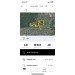  Hochgeladen am 02.06.2024 00:00:00Исаенко Юлия 
