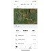  Hochgeladen am 02.06.2024 00:00:00Муравьева Наталья 