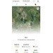  Hochgeladen am 12.06.2024 00:00:00Солнечный Беглец Оксана 