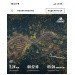  Hochgeladen am 12.06.2024 00:00:00Дзюба Люза 