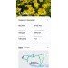  Hochgeladen am 12.06.2024 00:00:00Прокина Екатерина 