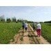  Hochgeladen am 12.06.2024 00:00:00Пьянкова Алевтина 
