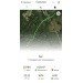  Hochgeladen am 13.06.2024 00:00:00Солнечный Беглец Оксана 
