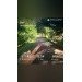  Hochgeladen am 13.06.2024 00:00:00Неборакова Ангелина 