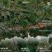  Hochgeladen am 13.06.2024 00:00:00Кутлева Татьяна 