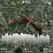  Hochgeladen am 14.06.2024 00:00:00Лобанов Андрей 