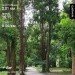  Hochgeladen am 17.06.2024 00:00:00Талыбова Ирина 