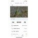 Hochgeladen am 18.06.2024 00:00:00Степанов Константин 
