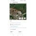  Hochgeladen am 19.06.2024 00:00:00Артемова Евгения 