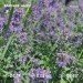  Hochgeladen am 19.06.2024 00:00:00Татарченко Юлия 