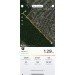  Hochgeladen am 19.06.2024 00:00:00Гречаная Евгения 