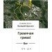  Hochgeladen am 19.06.2024 00:00:00Щуклин Валерий 