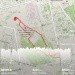  Hochgeladen am 20.06.2024 00:00:00Панкратов Михаил 