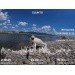  Hochgeladen am 18.06.2024 00:00:00Андреев Вадим 