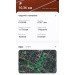  Hochgeladen am 21.06.2024 00:00:00Коновалова Анастасия 
