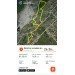  Hochgeladen am 21.06.2024 00:00:00Сабиров Артур 