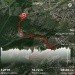  Hochgeladen am 21.06.2024 00:00:00Болдырева Людмила 