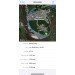  Hochgeladen am 20.06.2024 00:00:00Аксенова Мария 