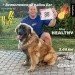  Hochgeladen am 24.06.2024 00:00:00Королев Сергей 